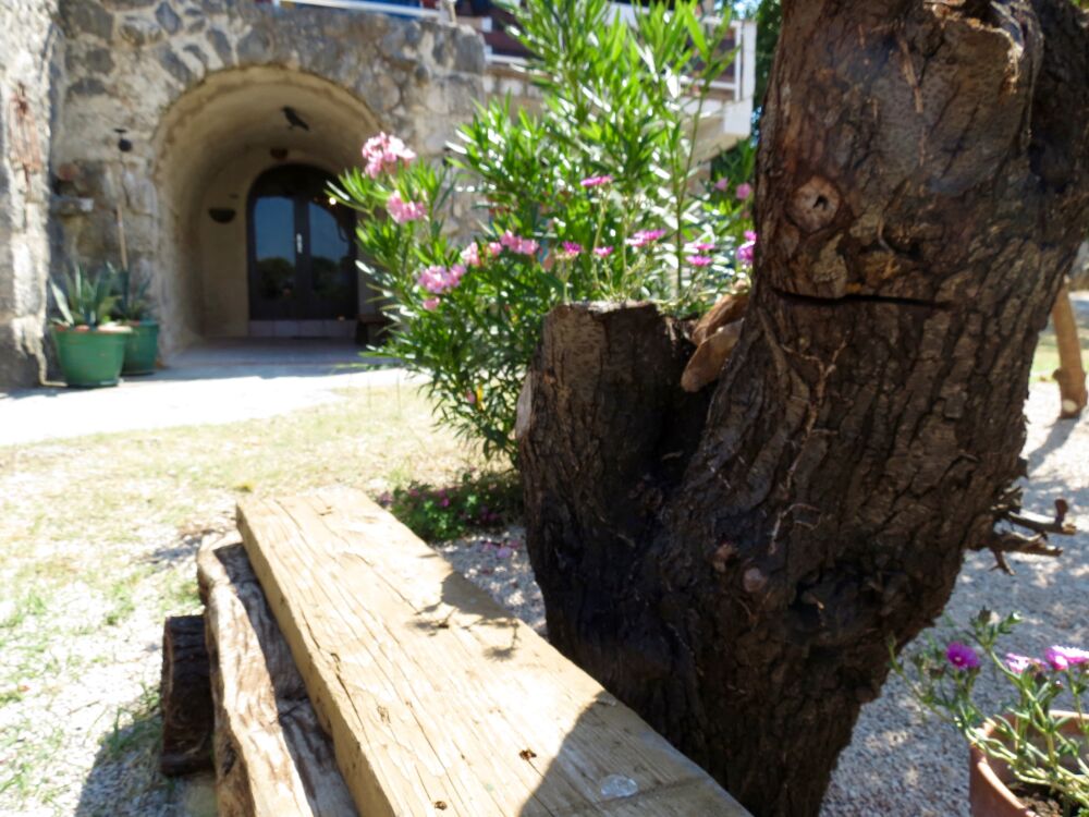 <p>Detail Garten mit Blick auf die Volta</p> <p>Detail Garten mit Blick auf die Volta</p>
