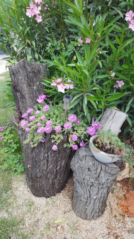 <p>mediterraner Garten</p> <p>mediterraner Garten</p>