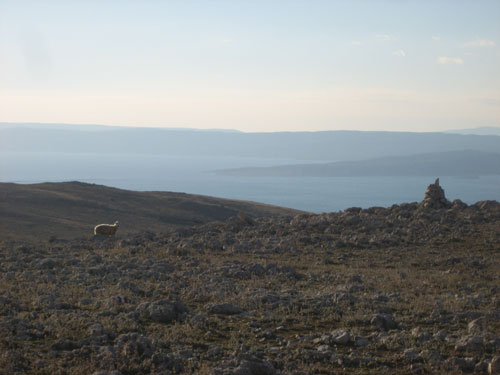 Wanderung Krk - Punat